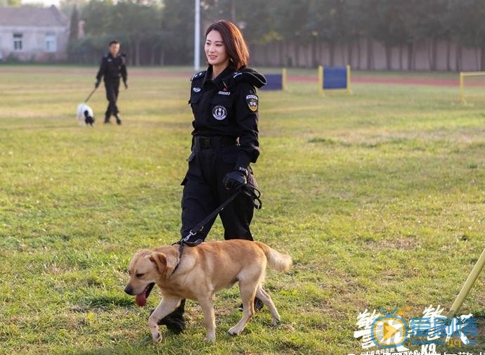 警花与警犬中李淑寒的警犬是什么品种？李淑寒帮它取什么名字？