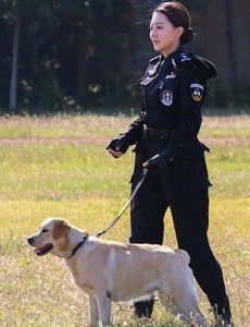 警花与警犬第五集中樱桃为什么不吃饭？樱桃发生什么事了