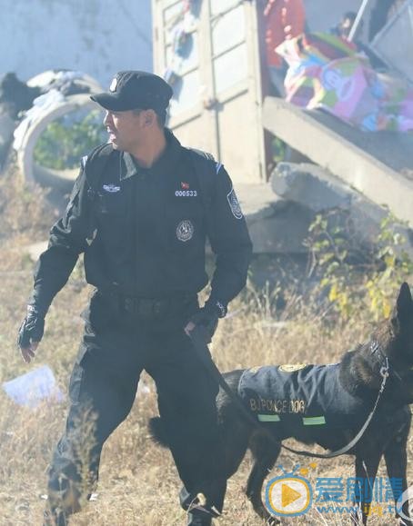 刘金龙《警花与警犬》剧照 刘金龙高清写真_刘金龙高清剧照