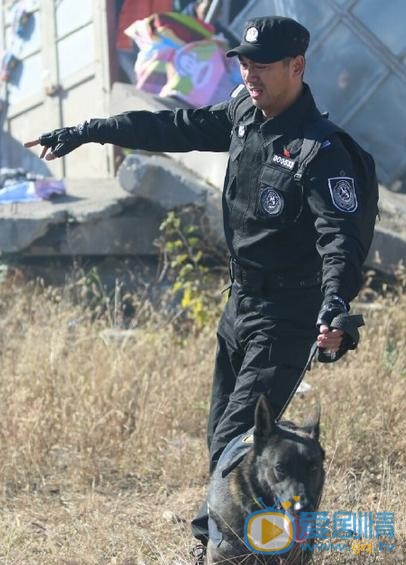 刘金龙《警花与警犬》剧照 刘金龙高清写真_刘金龙高清剧照