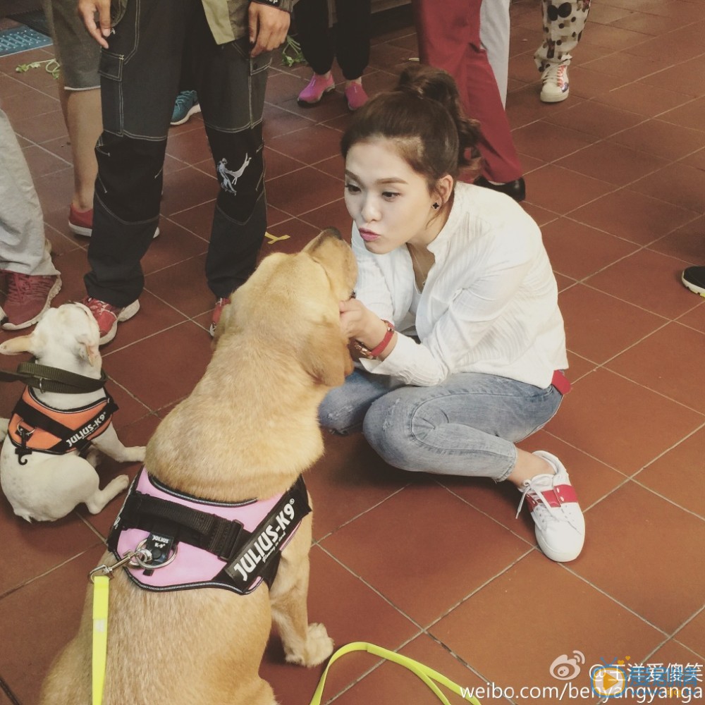 王洋表情包 王洋高清写真_王洋高清剧照