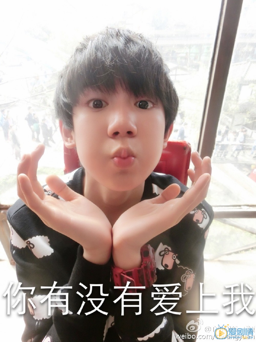 王源卖萌照 王源高清写真_王源高清剧照