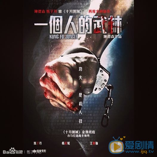 甄子丹影视作品海报合集 甄子丹高清写真_甄子丹高清剧照