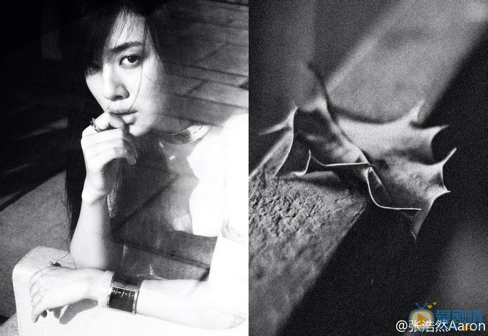 王晓晨魅惑写真 王晓晨高清写真_王晓晨高清剧照