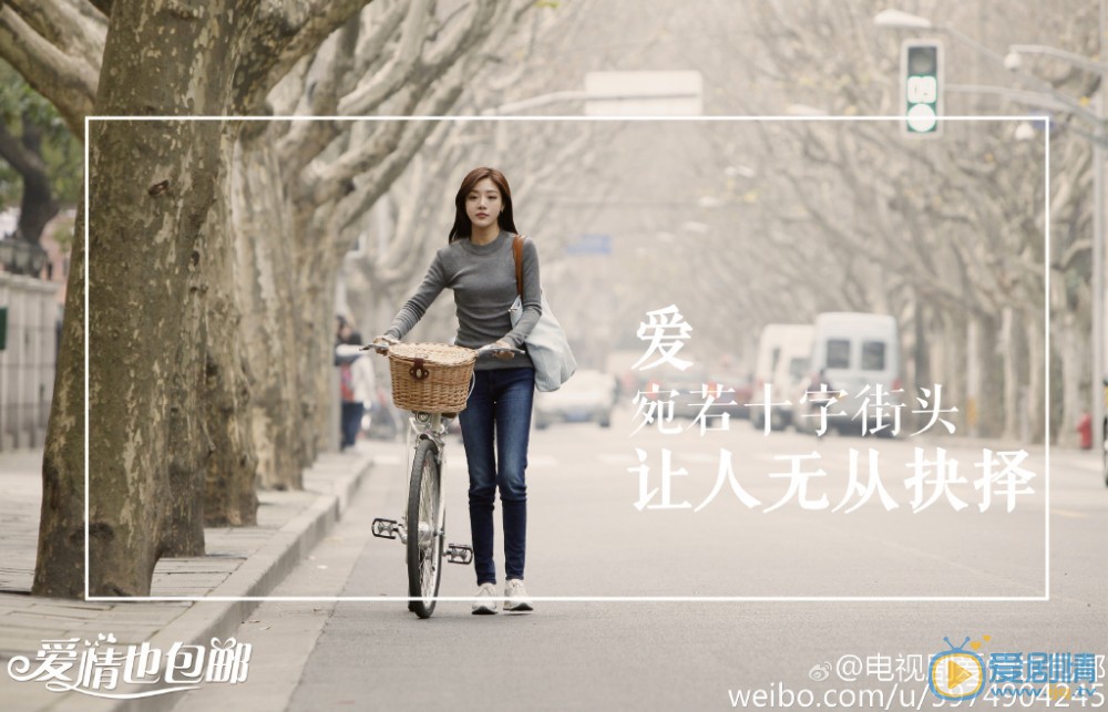 爱情也包邮主题海报