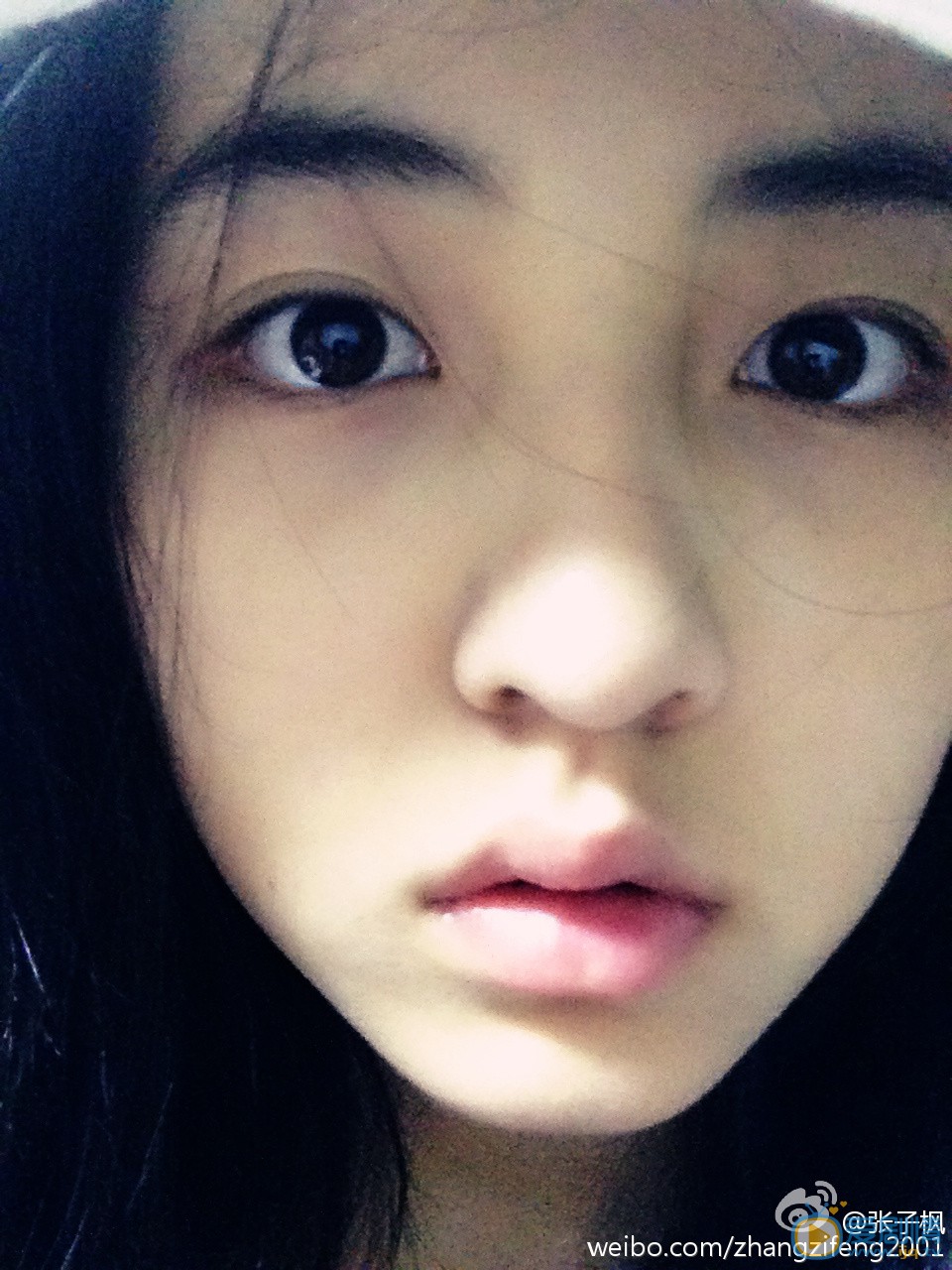 张子枫生活照 张子枫高清写真_张子枫高清剧照