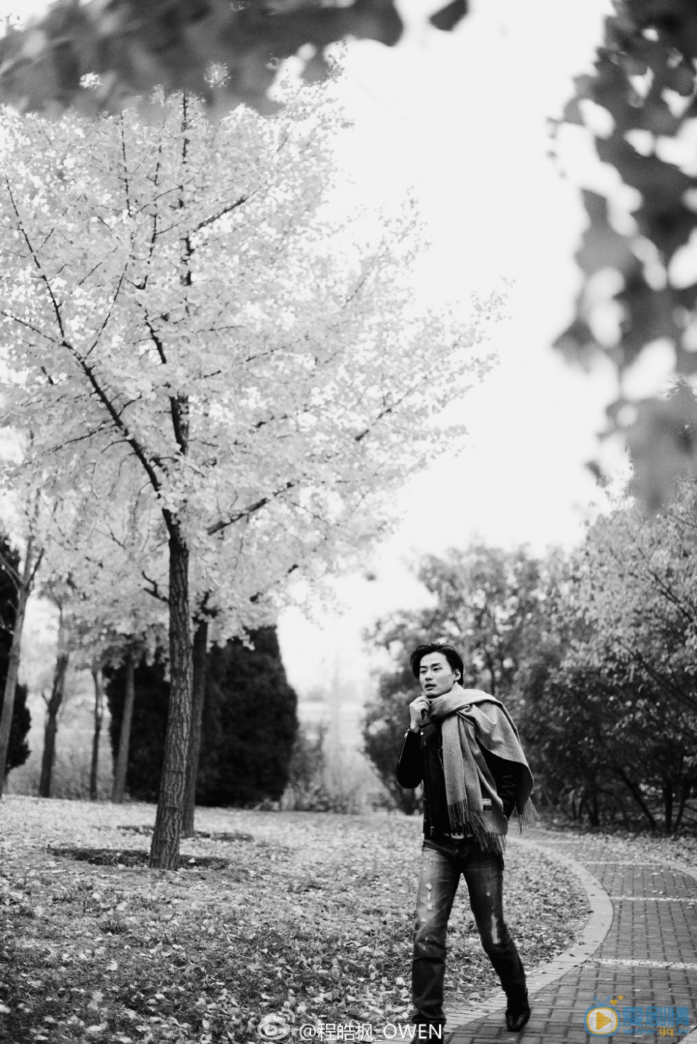 程皓枫文艺范儿写真 程皓枫高清写真_程皓枫高清剧照