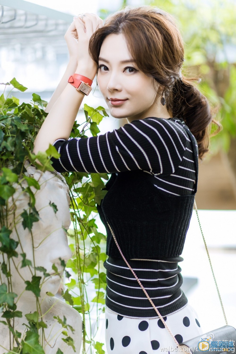 陈数杂志照 陈数高清写真_陈数高清剧照