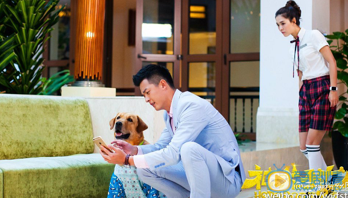 王煜《神犬小七》剧照 《神犬小七》剧照