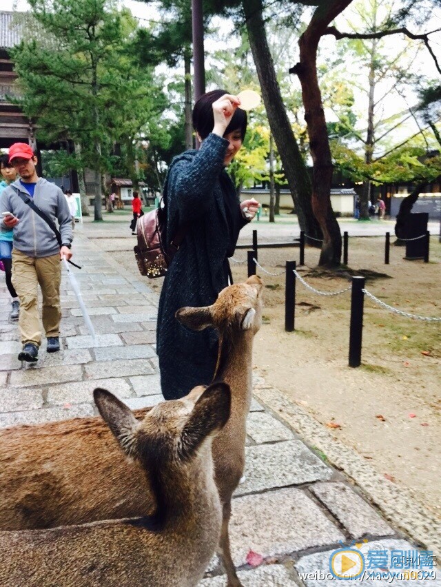 陈小纭和鹿合照 陈小纭高清写真_陈小纭高清剧照
