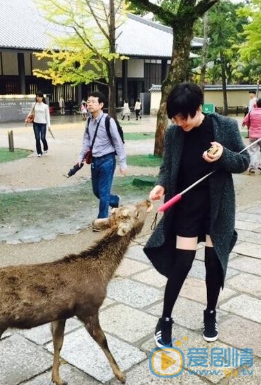 陈小纭和鹿合照 陈小纭高清写真_陈小纭高清剧照