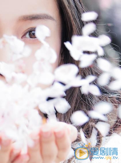 Angelababy樱花写真 Angelababy高清写真_Angelababy高清剧照
