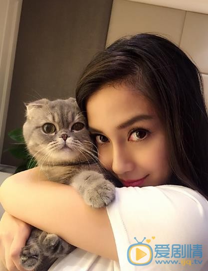 Angelababy和猫咪亲密照 Angelababy高清写真_Angelababy高清剧照