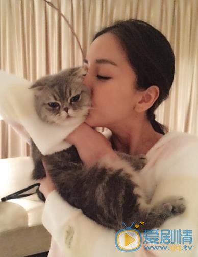 Angelababy和猫咪亲密照 Angelababy高清写真_Angelababy高清剧照