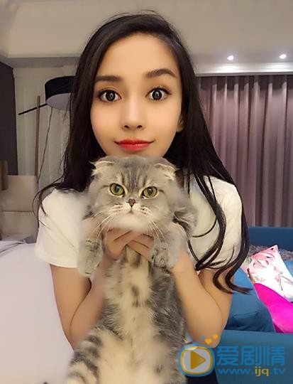 Angelababy和猫咪亲密照 Angelababy高清写真_Angelababy高清剧照