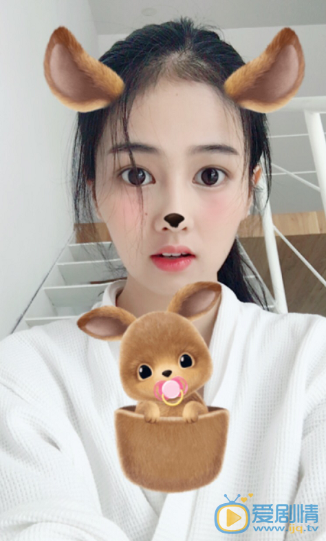 白鹿卖萌照 白鹿高清写真_白鹿高清剧照