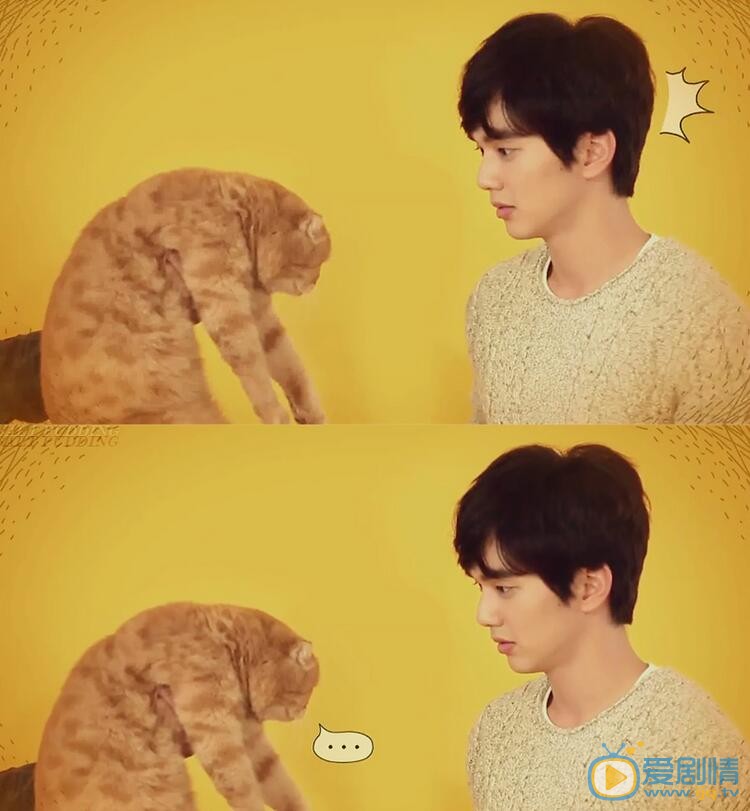 俞承豪《电视猫》剧照 俞承豪高清写真_俞承豪高清剧照