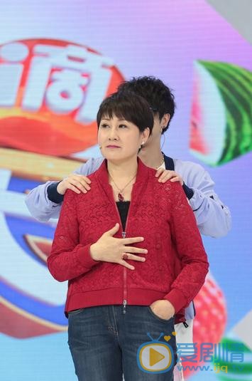 张凯丽综艺照 张凯丽高清写真_张凯丽高清剧照