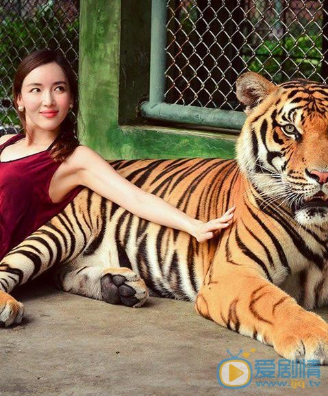 叶一云和动物写真照 叶一云高清写真_叶一云高清剧照