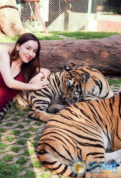 叶一云和动物写真照 叶一云高清写真_叶一云高清剧照