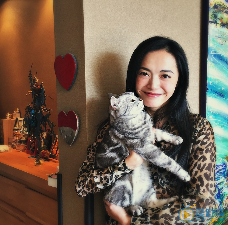 姚晨家庭照 姚晨高清写真_姚晨高清剧照