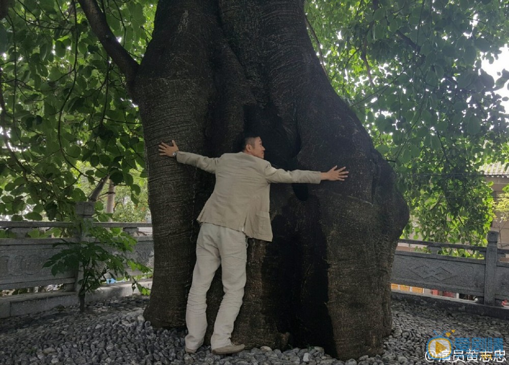 黄志忠行走的艺术生活 黄志忠高清写真_黄志忠高清剧照