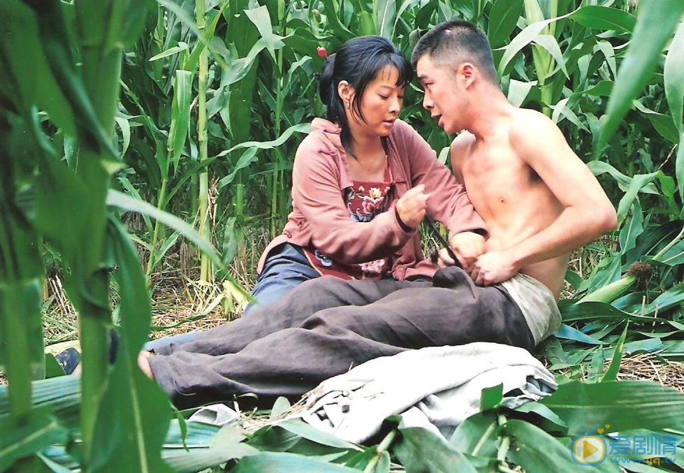 曹征《红高粱》剧照 曹征高清写真_曹征高清剧照