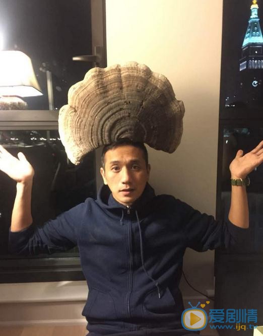 爱情万万岁剧照