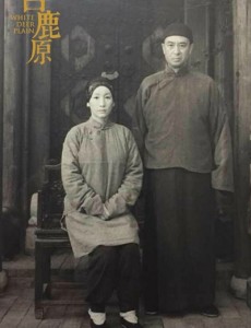 电视剧白鹿原什么时候播出 白鹿原播出时间及平台介绍