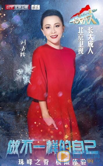 刘嘉玲美照 刘嘉玲高清写真_刘嘉玲高清剧照