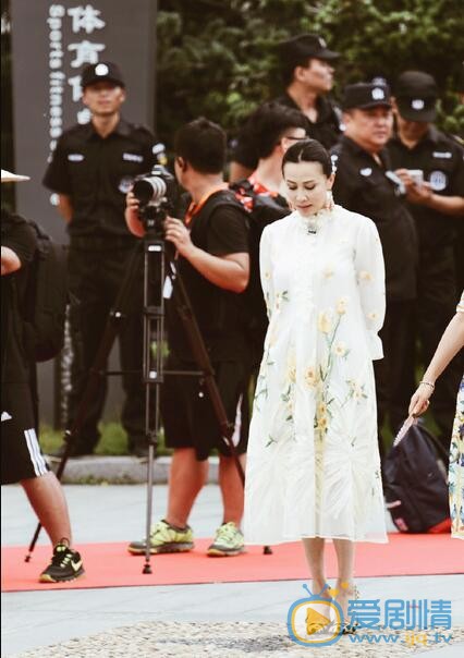 刘嘉玲美照 刘嘉玲高清写真_刘嘉玲高清剧照