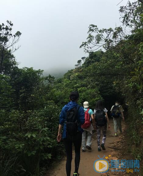 刘嘉玲生活照 刘嘉玲高清写真_刘嘉玲高清剧照
