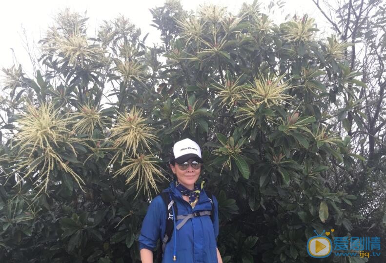 刘嘉玲生活照 刘嘉玲高清写真_刘嘉玲高清剧照