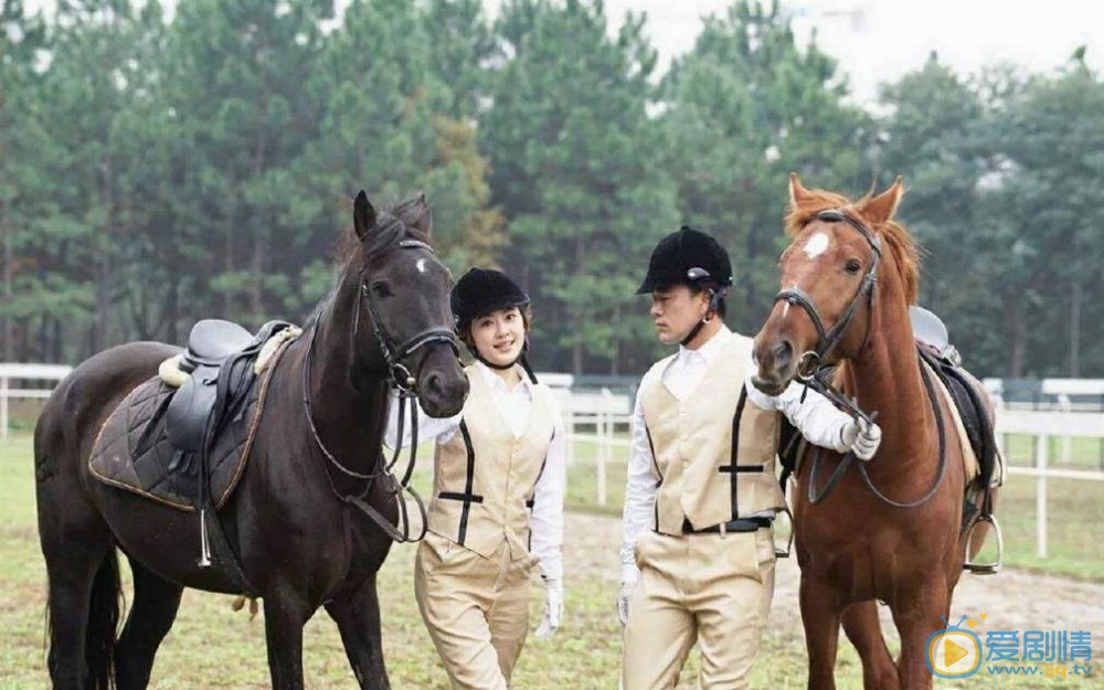 角力之城剧情介绍