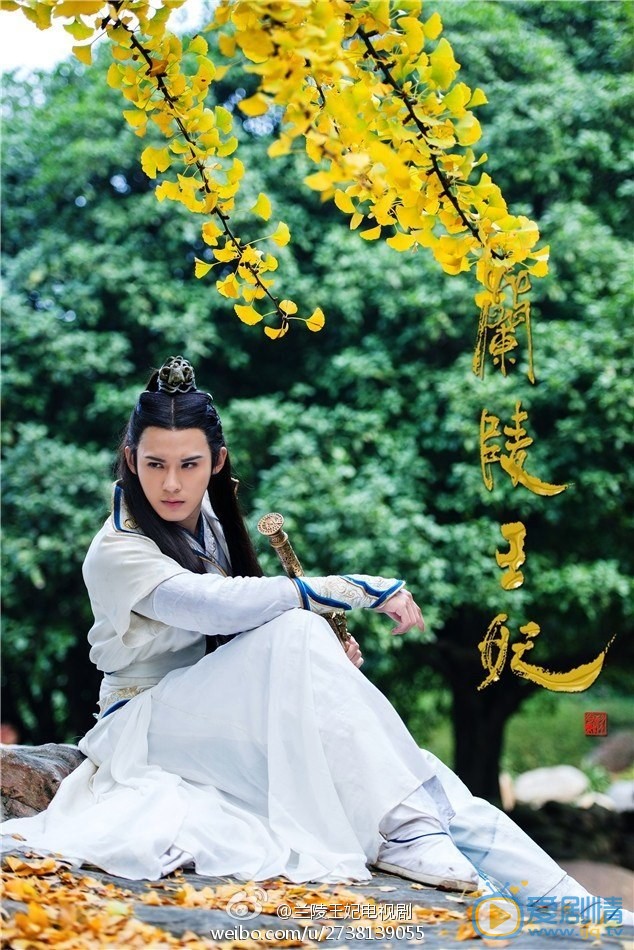 陈奕《兰陵王妃》剧照 陈奕高清写真_陈奕高清剧照
