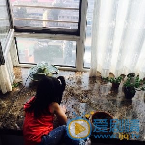 孙菲菲生活照 孙菲菲高清写真_孙菲菲高清剧照