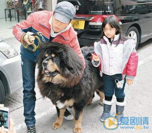 黄贯中黄贯中朱茵合照、全家照 黄贯中高清写真_黄贯中高清剧照