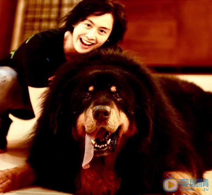 黄贯中黄贯中朱茵合照、全家照 黄贯中高清写真_黄贯中高清剧照