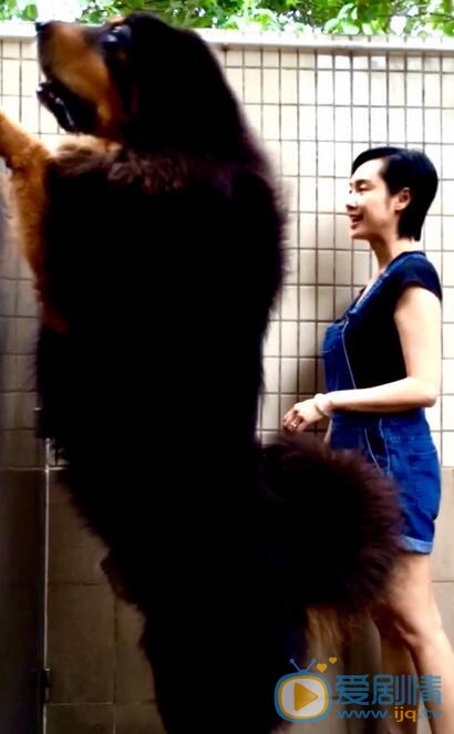 黄贯中黄贯中朱茵合照、全家照 黄贯中高清写真_黄贯中高清剧照