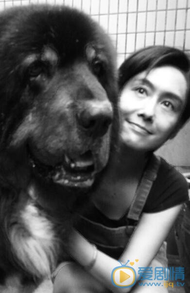 黄贯中黄贯中朱茵合照、全家照 黄贯中高清写真_黄贯中高清剧照