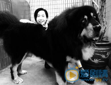 黄贯中黄贯中朱茵合照、全家照 黄贯中高清写真_黄贯中高清剧照