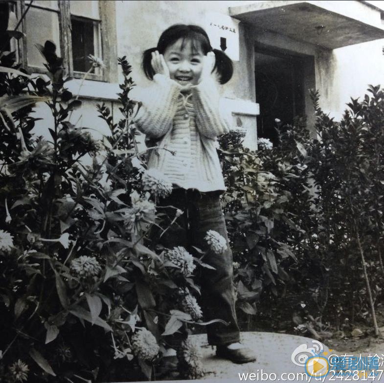万茜活动照 万茜高清写真_万茜高清剧照