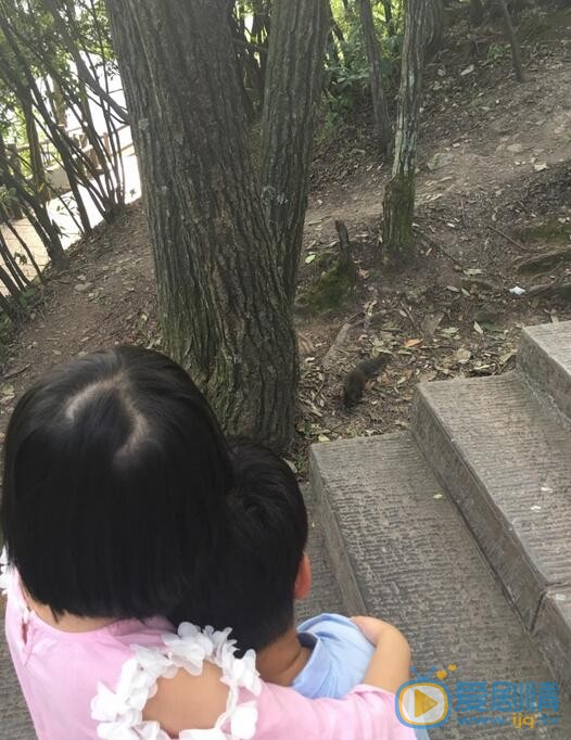 李锐李锐家人照 李锐高清写真_李锐高清剧照