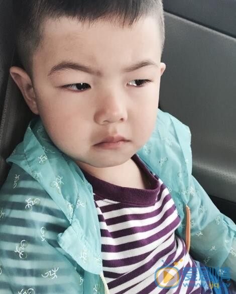安吉搞怪呆萌照 安吉高清写真_安吉高清剧照