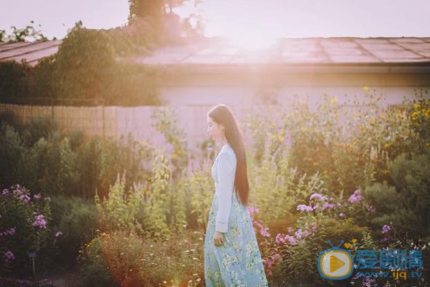 张辛苑布拉格写真 张辛苑高清写真_张辛苑高清剧照