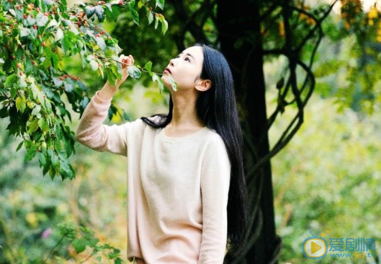 张辛苑布拉格写真 张辛苑高清写真_张辛苑高清剧照