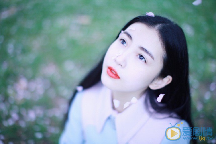 张辛苑樱花写真 张辛苑高清写真_张辛苑高清剧照
