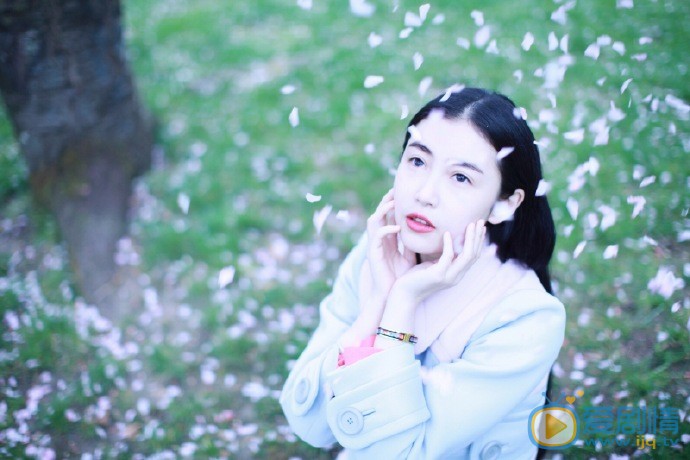 张辛苑樱花写真 张辛苑高清写真_张辛苑高清剧照