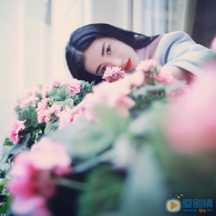 张辛苑樱花写真 张辛苑高清写真_张辛苑高清剧照