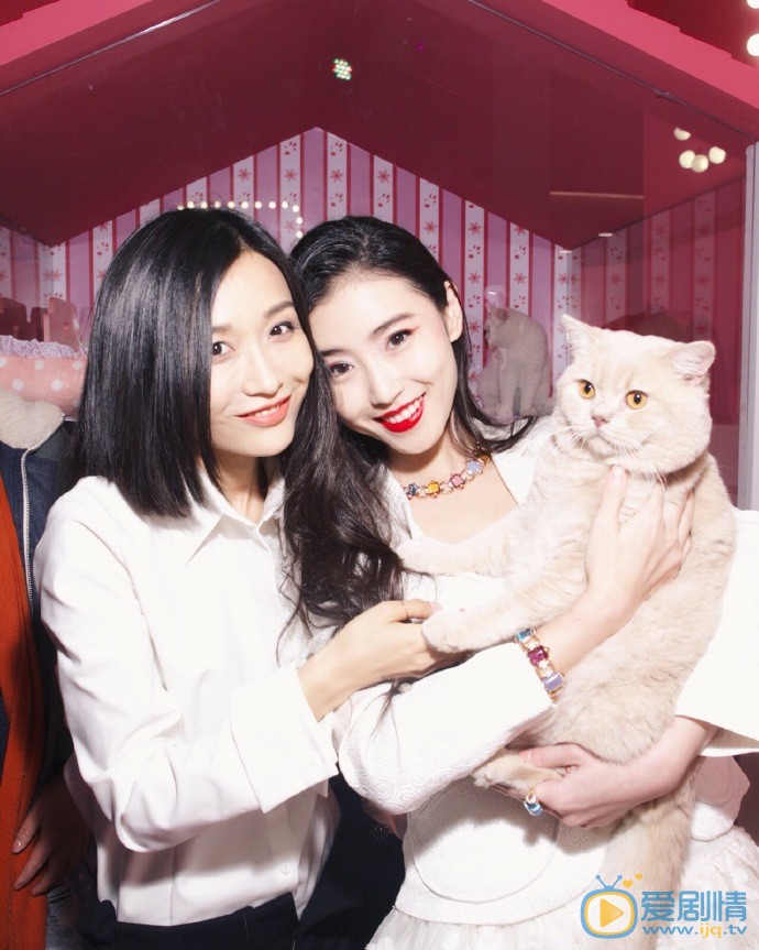 张辛苑代言活动 张辛苑高清写真_张辛苑高清剧照